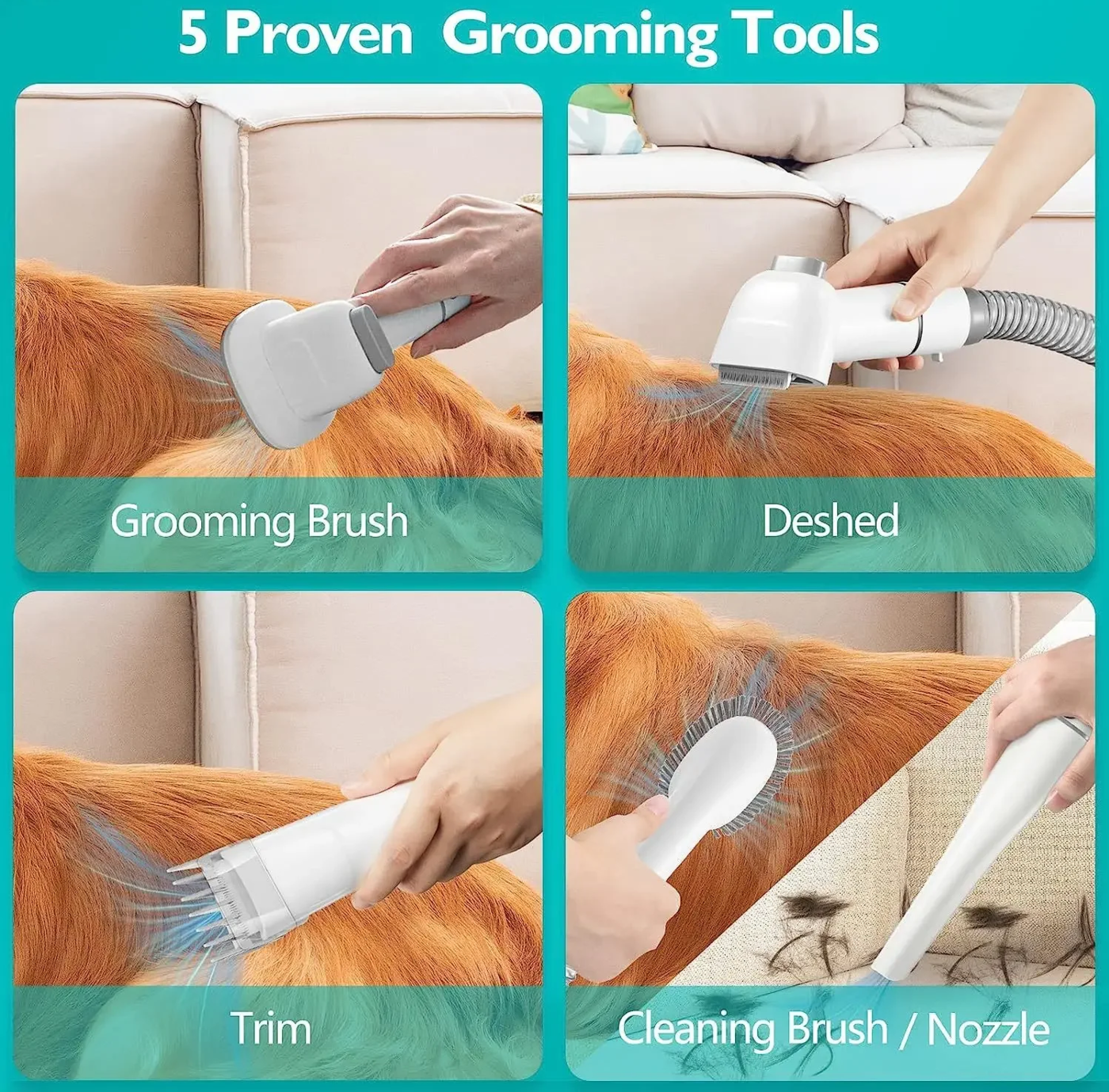 Vacuum Grooming Kit